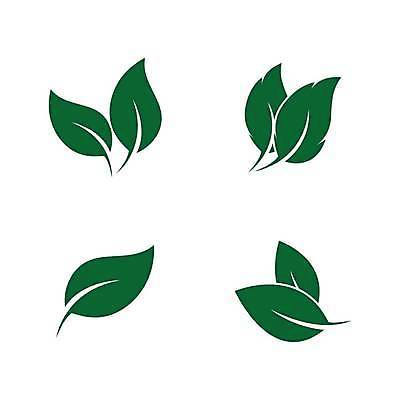 EPS 해외이미지 선 백그라운드 컨셉 잎 꽃무늬 일러스트 회사 비즈니스 자연 추상 건강 미술 초록색 환경 재활용 성장 신선 플랫 에코 유기농 생태계 생물학 바둑 내추럴 돌봄 바이오 생태학 브랜딩 해외일러스트 식물 웰빙 교육 꽃 컬러 무늬 모션 놀이 문화예술 친환경 파일형식 벡터 이미지허브