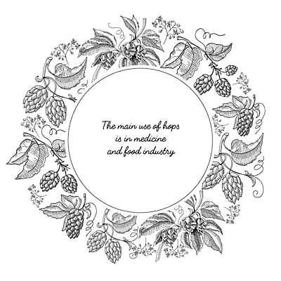 EPS 해외이미지 디자인 잎 일러스트 프레임 사람없음 나뭇가지 스케치 원형프레임 홉 해외일러스트 나무 식물 미술 원형 파일형식 벡터 이미지허브