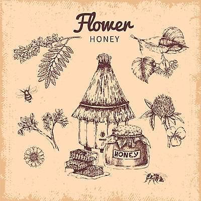 EPS 해외이미지 식물 템플릿 손 디자인 꽃 음식 곤충 백그라운드 일러스트 자연 벽지 디저트 흑백 건강 미술 타이포그라피 장식 덮개 머리빗 항아리 달콤 맛 클로버 냄비 상품 인쇄 벌 허브 유기농 질감 레이아웃 꽃가루 꿀 벌집 내추럴 구성 밀랍 엘리먼트 왁스 해외일러스트 동물 문자 웰빙 컨셉 문화예술 촬영기법 신체부위 뚜껑 미용용품 도자기 솥 가루 생태계 파일형식 벡터 이미지허브