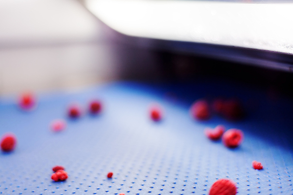 포토 JPG 해외이미지 공장 사람없음 아웃포커스 냉동 기계 제조 산딸기 식품공장 냉동식품 해외포토 음식 과일 공업 촬영기법 파일형식 이미지허브