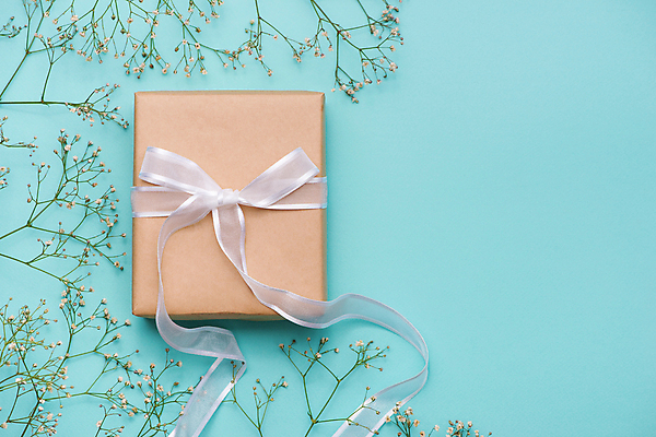 포토 JPG 해외이미지 식물 실내 사람없음 선물상자 파란배경 카피스페이스 어머니의날 오간디리본 해외포토 기념일 리본 백그라운드 선물 내부 파란색 상자 공백 미국문화 파일형식 이미지허브