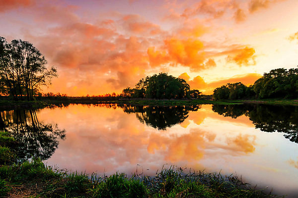 포토 JPG 해외이미지 나무 자연 하늘 사람없음 야외 강 햇빛 일몰 해외포토 식물 태양 노을 생태계 파일형식 이미지허브