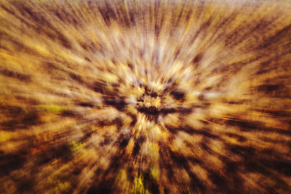 포토 JPG 해외이미지 백그라운드 아프리카 자연 추상 건조 흑백 국립공원 사람없음 가로 가을 소프트포커스 남아프리카 보츠와나 보호구역 해외포토 계절 공원 나라 무늬 촬영기법 생태계 구역 파일형식 이미지허브