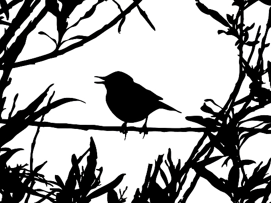 JPG 해외이미지 한마리 실루엣 잎 일러스트 조류 앉기 사람없음 흰색 나뭇가지 해외일러스트 나무 식물 동물 1 컬러 모션 촬영기법 파일형식 이미지허브