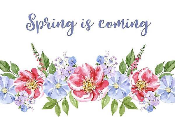 EPS 해외이미지 꽃 잎 일러스트 글자캘리그라피 사람없음 꽃봉오리 꽃프레임 해외일러스트 식물 캘리그라피 프레임 파일형식 벡터 이미지허브