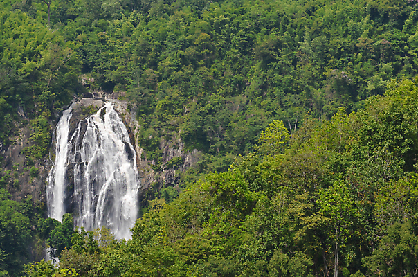 포토 JPG 해외이미지 나무 식물 공원 백그라운드 잎 모션 태국 자연 하늘 휴식 국립공원 풍경 사람없음 목재 초록색 물 강 수영 봄 폭포 젖음 성장 가을 신선 개울 숲 시원함 순수 즐거움 파라다이스 해외포토 자연요소 계절 공공시설 감정 아시아 컬러 컨셉 재료 수상스포츠 생태계 파일형식 이미지허브