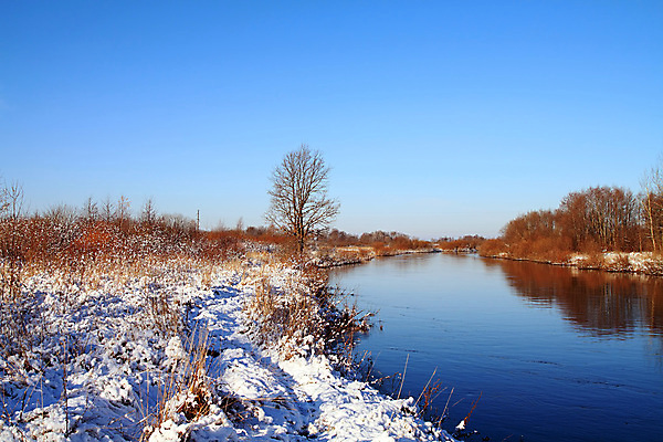 포토 JPG 해외이미지 나무 계절 공원 여행 백그라운드 겨울 포장 자연 하늘 휴가 사람없음 야외 목재 물 파란색 강 태양 뷰티 환경 냉동 얼음 검은색 침묵 흐름 흰색 시골 황무지 고독 숲 서리 장면 지역 북쪽 온도 멀리 눈보라 전국 해외포토 자연요소 식물 공공시설 감정 컬러 컨셉 재료 눈_날씨 소리 방향 생태계 파일형식 이미지허브