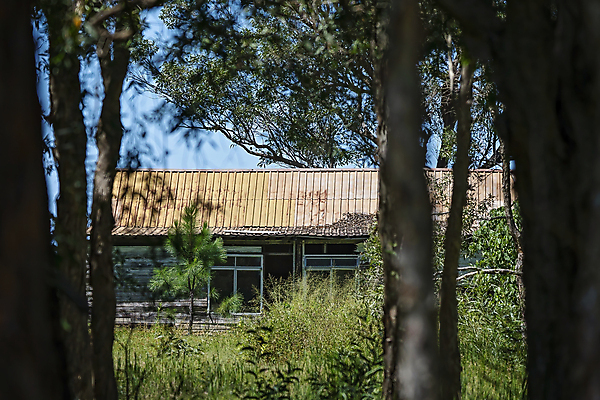포토 JPG 해외이미지 나무 백그라운드 건축양식 창문 자연 지붕 날씨 주택 사람없음 건물 목재 농가 수확 시골 거친 호주 널 숲 버리기 입장 폐허 깨짐 썩음 옛날 파멸 판잣집 해외포토 식물 건축물 건축 컨셉 농업 재료 모션 농장 오세아니아 생태계 파일형식 소멸 이미지허브