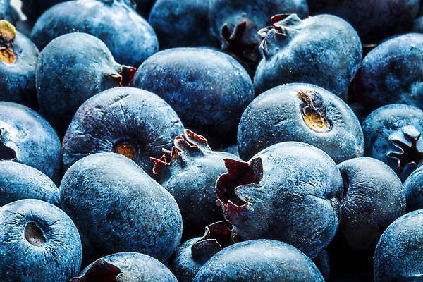 포토 JPG 해외이미지 실내 근접촬영 사람없음 아웃포커스 파란색 신선 달콤 가득함 블루베리 해외포토 뷰포인트 컬러 과일 촬영기법 내부 맛 파일형식 이미지허브