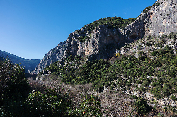 포토 JPG 해외이미지 나무 식물 계절 공원 도로 여행 백그라운드 자연 하늘 산 안테나 사람없음 초록색 물 강 뷰티 환경 계곡 흰색 숲 그리스 그림 시력 그리스인 내추럴 넘어짐 송어 해외포토 자연요소 서양인 공공시설 유럽 길 컬러 통신 교통시설 모션 어류 생태계 파일형식 이미지허브