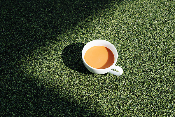 포토 JPG 해외이미지 커피 티타임 한잔 실내 그림자 잔디 사람없음 커피잔 라떼 해외포토 식물 1 음료 휴식 잔 내부 파일형식 이미지허브