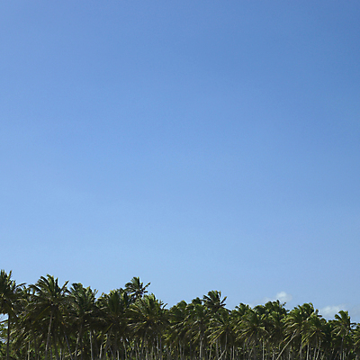 포토 JPG 해외이미지 주간 나무 섬 잎 과일 자연 하늘 바람 날씨 흑백 따뜻함 손바닥 사람없음 세로 초록색 파란색 뷰티 머리 평화 뜨거움 정상 큼 시원함 청록색 코코넛 평행 깊이 이국적 절정 직진 해외포토 자연요소 식물 손 컬러 컨셉 촬영기법 신체부위 크기 생태계 파일형식 이미지허브