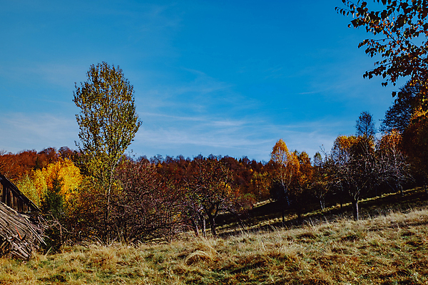포토 JPG 해외이미지 전통 유럽 여행 백그라운드 자연 하늘 산 주택 풍경 초원 사람없음 야외 건물 목재 파란색 농가 농장 마을 계곡 수확 가을 시골 소나무 정상 숲 오두막 언덕 그림 시골집 루마니아 샬레 옛날 해외포토 나무 건축물 계절 나라 컬러 농업 재료 실험기구 생태계 파일형식 이미지허브