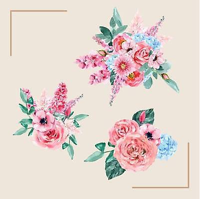 EPS 해외이미지 꽃 잎 일러스트 사람없음 꽃봉오리 수국 아네모네 해외일러스트 식물 파일형식 벡터 이미지허브