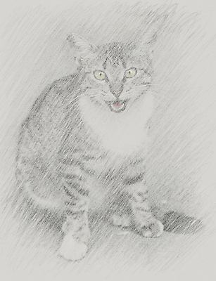 포토 JPG 해외이미지 동물 손 응시 얼굴 선 백그라운드 잉크 미술 사람없음 그래픽 초록색 반려동물 연필 머리 검은색 고양이 흰색 그리기 주름 낙서 스케치 자르기 그림 복고 클립 판화 그런지 타격 현실 국경 해외포토 시선 컬러 포유류 모션 문화예술 학용품 신체부위 필기구 파일형식 이미지허브