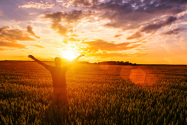 포토 JPG 해외이미지 남자 자연 하늘 한명 상반신 성인 야외 뒷모습 햇빛 태양 농경지 일몰 만세 성인남자한명만 해외포토 자연요소 1 뷰포인트 모션 사람 농장 노을 생태계 남자한명만 성인남자만 파일형식 이미지허브