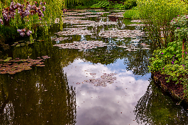 포토 JPG 해외이미지 나무 식물 꽃 호수 사람없음 초록색 물 정원 연못 해외포토 자연요소 컬러 파일형식 이미지허브