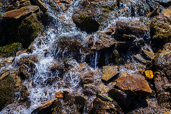 포토 JPG 해외이미지 나무 식물 계절 공원 여행 백그라운드 잎 모션 자연 산 이끼 사람없음 야외 목재 초록색 물 강 뷰티 환경 봄 폭포 젖음 흐름 신선 개울 떨어짐 숲 루마니아 내추럴 트란실바니아 해외포토 자연요소 공공시설 유럽 컬러 컨셉 재료 생태계 파일형식 이미지허브