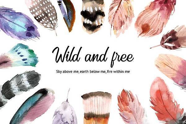 EPS 해외이미지 일러스트 프레임 글자캘리그라피 사람없음 화려 깃털 해외일러스트 컨셉 캘리그라피 파일형식 벡터 이미지허브