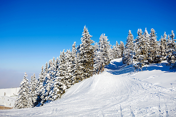 포토 JPG 해외이미지 나무 배너 계절 스포츠 백그라운드 겨울 자연 날씨 휴가 산 풍경 경사 사람없음 야외 목재 태양 우주 냉동 얼음 추위 흰색 소나무 숲 접속 휴양지 서리 리프트 장면 봉 내추럴 눈내림 해외포토 자연요소 식물 컬러 재료 눈_날씨 장소 생태계 파일형식 이미지허브