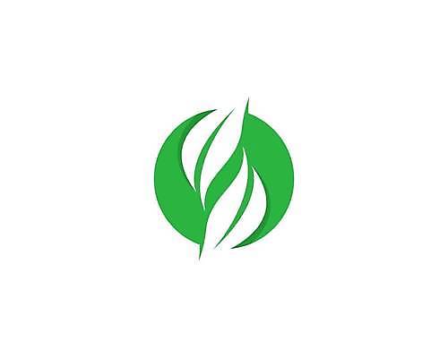 EPS 해외이미지 잎 일러스트 사람없음 초록색 원형 심볼 에코 친환경 해외일러스트 도형 식물 컬러 환경 파일형식 벡터 이미지허브