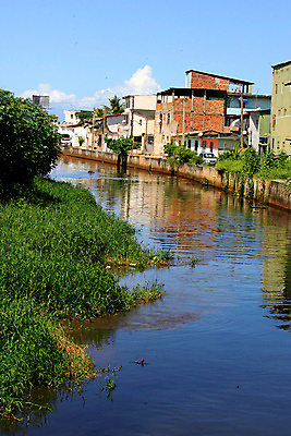 포토 JPG 해외이미지 식물 자연 웃음 사람없음 물 환경 오염 향기 먼지 폭풍 튜브 낭비 썩음 폐수 하수 브라질사람 해외포토 자연요소 컨셉 날씨 표정 환경오염 생태계 냄새 파일형식 이미지허브