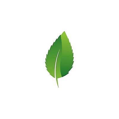 EPS 해외이미지 모양 나무 식물 템플릿 디자인 실루엣 컨셉 잎 꽃무늬 일러스트 회사 비즈니스 자연 추상 건강 미술 그래픽 장식 초록색 여름 세트 새싹 환경 봄 신선 플랫 보호 수집 심볼 사인 에코 유기농 내추럴 고립 생태학 엘리먼트 해외일러스트 웰빙 계절 교육 꽃 컬러 무늬 문화예술 촬영기법 생태계 파일형식 벡터 이미지허브