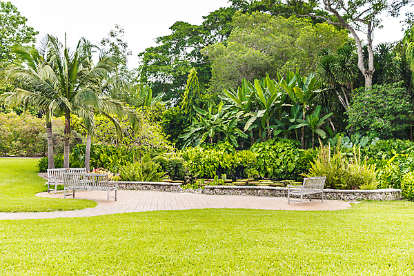 포토 JPG 해외이미지 나무 식물 디자인 공원 꽃 백그라운드 잎 벤치 자연 하늘 잔디 사람없음 야외 목재 초록색 야자수 정원 땅 맨션 원예 조경 교외 정중 카피스페이스 해외포토 공공시설 컬러 컨셉 의자 재료 주택 취미 공백 생태계 파일형식 이미지허브