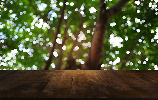 포토 JPG 해외이미지 나무 템플릿 디자인 공원 백그라운드 잎 자연 벽지 탁자 추상 사람없음 야외 목재 장식 초록색 여름 빛 태양 우주 정원 맑음 봄 수확 덮개 시골 널 상품 정상 소프트포커스 숲 갑판 계산대 책상 질감 복고 보케 내추럴 거짓 블러 해외포토 자연요소 식물 계절 공공시설 컬러 가구 무늬 농업 배_교통 재료 날씨 촬영기법 뚜껑 생태계 파일형식 이미지허브