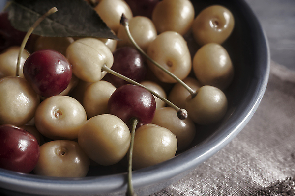 포토 JPG 해외이미지 계절 열매 음식 백그라운드 농업 다이어트 과일 재료 자연 탁자 디저트 건강 사람없음 컵 가로 빨간색 노란색 그룹 달콤 큼 날것 내추럴 숙성 채식주의자 많음 맛있는 해외포토 식물 식기 산업 컬러 가구 컨셉 맛 크기 생태계 채식 파일형식 이미지허브