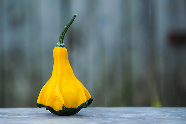 포토 JPG 해외이미지 식물 접시 음식 백그라운드 농업 다이어트 채소 오렌지 재료 자연 탁자 호박 파슬리 건강 요리 사람없음 목재 가로 초록색 컬러풀 노란색 식사 신선 닫기 먹기 유기농 날것 박 스쿼시 내추럴 점심식사 고립 숙성 주키니 채식주의자 비건 해외포토 나무 식기 웰빙 산업 스포츠 컬러 가구 과일 모션 구기 생태계 채식 파일형식 이미지허브