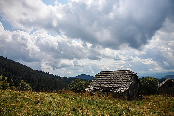 포토 JPG 해외이미지 나무 전통 외관 여행 백그라운드 밭 건축양식 자연 지붕 휴가 산 주택 사람없음 야외 건물 목재 초록색 뷰티 농장 마을 수확 골동품 시골 역사 숲 오두막 버리기 언덕 시골집 통나무 내추럴 수목 옛날 해외포토 식물 건축물 건축 컬러 농업 재료 모션 생태계 파일형식 이미지허브