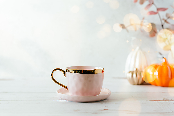 포토 JPG 해외이미지 라이프스타일 계절 커피 음료 백그라운드 잎 겨울 촛불 탁자 호박 불꽃 휴식 주택 실내 사람없음 장식 컵 인테리어 침묵 방 머그컵 가을 흰색 뜨거움 신용카드 차 아침식사 편안함 브런치 주말 부드러움 추수감사절 10월 광 정물화 목업 스타일 카피스페이스 해외포토 식물 식기 디자인 기독교 컬러 가구 컨셉 채소 초 불 내부 건물 생활 금융 식사 소리 공백 감각 날짜 그림 파일형식 이미지허브