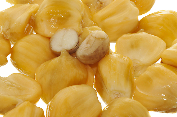 포토 JPG 해외이미지 나무 식물 음식 줄기 백그라운드 농업 과일 재료 자연 디저트 건강 씨앗 동양인 사람없음 초록색 농장 노란색 흰색 신선 달콤 맛 큼 묘사 유기농 질감 비타민 내추럴 고립 숙성 이국적 비건 맛있는 해외포토 웰빙 산업 컬러 컨셉 인종 크기 생태계 영양소 채식주의자 파일형식 이미지허브