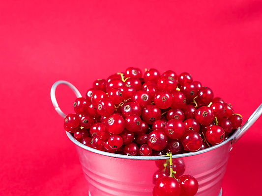 포토 JPG 해외이미지 식물 계절 열매 음식 줄기 백그라운드 농업 과일 건강 사람없음 빨간색 여름 농작물 바구니 금속 정원 회색 수확 나뭇가지 시골 신선 그룹 달콤 과수원 다발 양동이 가득함 에코 유기농 날것 비타민 흙더미 내추럴 건포도 고립 바이오 밭일 숙성 채식주의자 많음 카피스페이스 맛있는 해외포토 나무 웰빙 산업 컬러 컨셉 재질 포도 환경 흙 공백 맛 채식 건과일 영양소 파일형식 더미 이미지허브