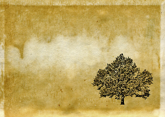 포토 JPG 해외이미지 나무 종이 과학 백그라운드 패턴 텍스트 자연 추상 프레임 사람없음 책 물 갈색 노란색 쪽지 공백 손상 추위 수확 골동품 점 얼룩 거친 균열 질감 복고 서리 러시아 페이지 찢어짐 북쪽 구식 그런지 보관소 세피아 양피지 옛날 노화 해외포토 자연요소 식물 유럽 컬러 컨셉 무늬 농업 모션 촬영기법 방향 저장 생태계 파일형식 이미지허브