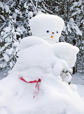포토 JPG 해외이미지 나무 식물 계절 행복 겨울 자연 눈사람 놀이 엄마 사람없음 야외 냉동 산책 추위 게임 신선 숲 서리 북쪽 전나무 눈덩이 눈내림 가문비나무 해외포토 감정 가족 휴식 눈_날씨 방향 생태계 파일형식 이미지허브