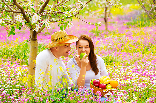 포토 JPG 해외이미지 나무 모자 커플 공원 여자 남자 꽃 행복 음식 2 밭 과일 자연 사랑 미소 사람 앉기 초원 성인 야외 두명 여름 친구 소풍 바구니 봄 기쁨 벚꽃 시골 개화 사과 먹기 원예 뒤뜰 원예사 해외포토 식물 직업 잡화 계절 공공시설 감정 농업 관계 모션 표정 취미 야외활동 생태계 파일형식 이미지허브