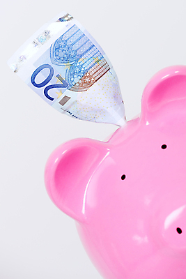 포토 JPG 해외이미지 지폐 실내 사람없음 금융 경제 저축 돼지저금통 흰배경 꽂음 해외포토 백그라운드 돈 내부 저금통 흰색 파일형식 이미지허브