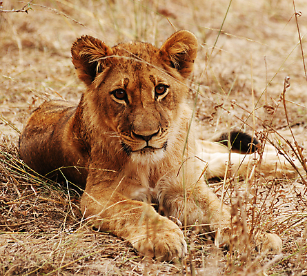 포토 JPG 해외이미지 여행 사람없음 여행객 해외포토 사람 파일형식 이미지허브