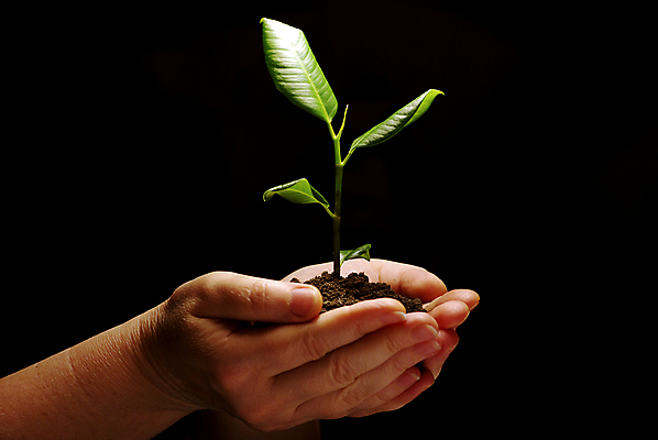 포토 JPG 해외이미지 손 들기 신체부위 빛 쌓기 흙 잡기 해외포토 모션 사람 파일형식 이미지허브