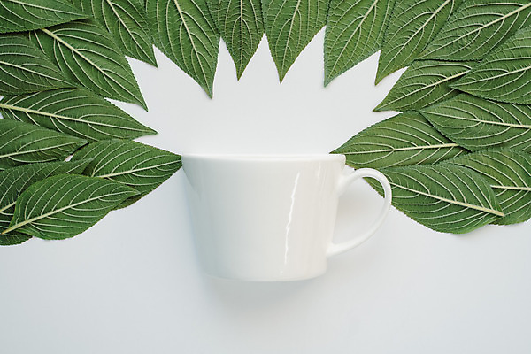 포토 JPG 해외이미지 모양 식물 디자인 음료 백그라운드 컨셉 잎 패턴 모션 자연 아침 추상 건강 미술 사람없음 컵 초록색 빛 정원 봄 성장 소용돌이 흰색 신선 뜨거움 원형 플랫 아침식사 정상 허브 유기농 질감 머리위 위치 내추럴 미니멀 해외포토 주간 도형 식기 웰빙 계절 컬러 무늬 문화예술 식사 회오리 생태계 파일형식 이미지허브