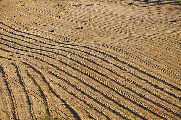 포토 JPG 해외이미지 주간 나무 밭 자연 하늘 옥수수 사람없음 야외 빛 햇빛 프랑스 시골 저녁 북쪽 뭉치 밀짚 노르망디 밭일 채널 해외포토 자연요소 식물 유럽 농업 곡류 태양 짚 야간 방향 생태계 파일형식 이미지허브