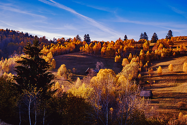 포토 JPG 해외이미지 전통 유럽 여행 백그라운드 자연 하늘 산 주택 사람없음 야외 건물 목재 파란색 농가 농장 마을 계곡 수확 시골 소나무 정상 숲 오두막 언덕 그림 시골집 루마니아 샬레 옛날 해외포토 나무 건축물 나라 컬러 농업 재료 실험기구 생태계 파일형식 이미지허브
