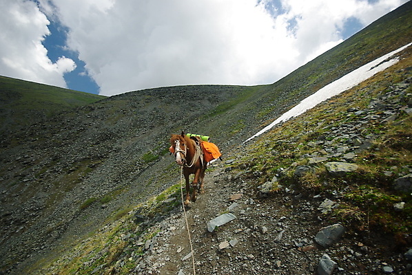 포토 JPG 해외이미지 동물 실루엣 얼굴 백그라운드 신발 밭 산 풍경 초원 사람없음 야외 옆모습 초록색 울타리 뷰티 농장 갈색 머리 걷기 가을 군중 먹이 방목 그림 윤곽 마차 망아지 기르기 무료 해외포토 계절 새끼 교통수단 뷰포인트 컬러 농업 모션 촬영기법 사람 신체부위 담장 말_동물 축산업 돌봄 파일형식 이미지허브