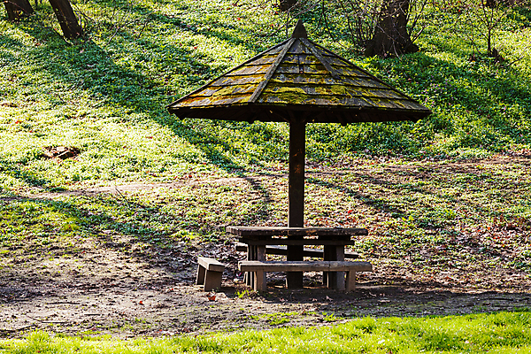 포토 JPG 해외이미지 나무 공원 벤치 의자 자연 탁자 휴식 사람 초원 사람없음 야외 초록색 여름 빛 뷰티 소풍 평화 침묵 캠핑 시골 숲 그늘 지역 공터 내추럴 고립 삼림지대 해외포토 식물 계절 공공시설 컬러 가구 컨셉 레저 야외활동 소리 생태계 파일형식 이미지허브