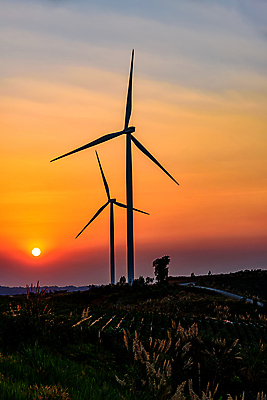 포토 JPG 해외이미지 밭 자연 하늘 사람없음 야외 햇빛 태양 농장 일출 풍차 시골 풍력에너지 해외포토 자연요소 농업 노을 그린에너지 생태계 파일형식 이미지허브