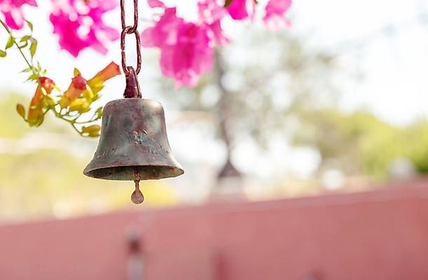 포토 JPG 해외이미지 식물 디자인 꽃잎 꽃 분홍색 꽃다발 백그라운드 꽃무늬 자연 휴식 사람없음 장식 초록색 파란색 컬러풀 뷰티 우주 정원 보라색 봄 낭만 벚꽃 신선 반지 우아함 다발 제비꽃 묘사 오브젝트 내추럴 엘리먼트 이국적 파스텔톤 해외포토 계절 컬러 컨셉 무늬 장신구 생태계 파일형식 이미지허브