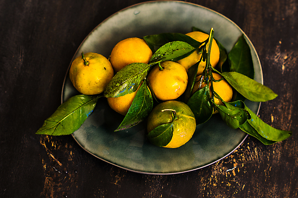 포토 JPG 해외이미지 접시 귤 실내 사람없음 담기 나무배경 해외포토 식기 백그라운드 과일 모션 내부 파일형식 이미지허브