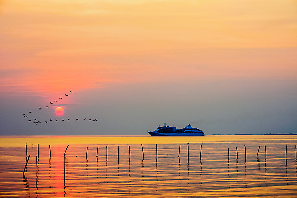 포토 JPG 해외이미지 바다 태국 자연 조류 하늘 항해 사람없음 야외 햇빛 태양 일출 해외포토 자연요소 동물 아시아 배_교통 노을 생태계 파일형식 이미지허브
